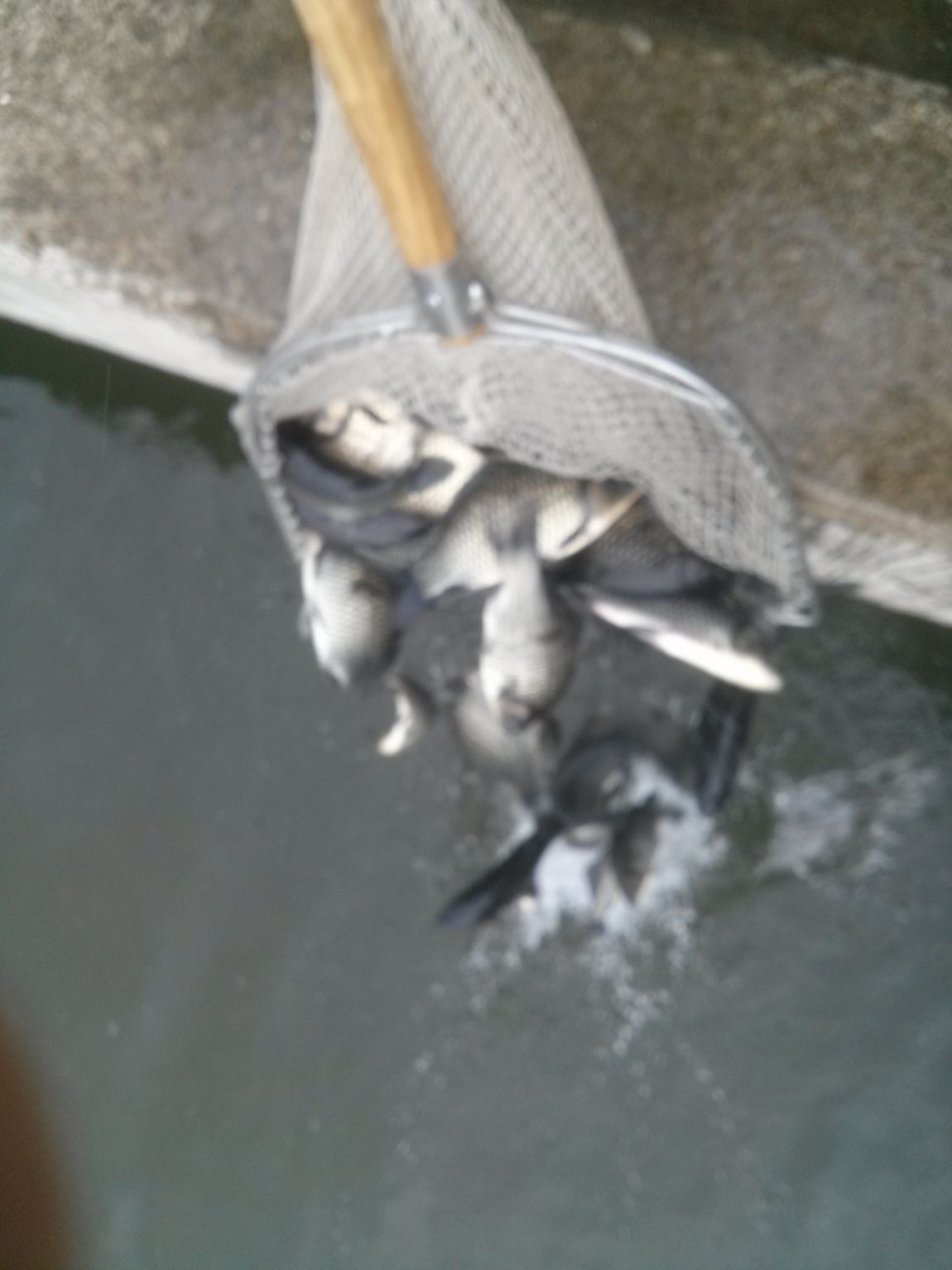 CAM07285.jpg