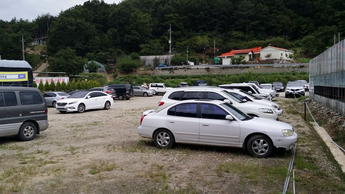 20150906_164118.jpg