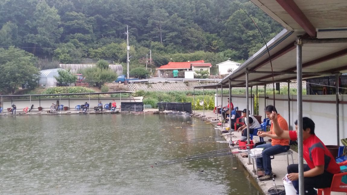 20150905_160629.jpg
