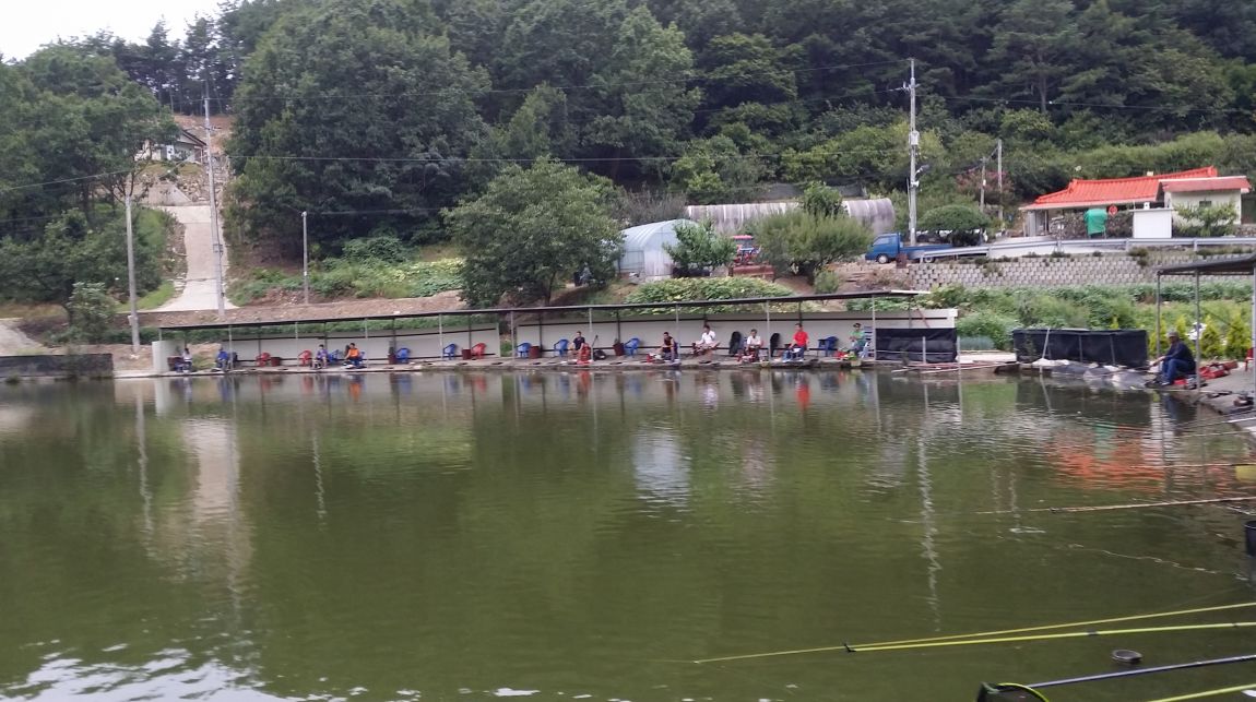 20150906_150734.jpg