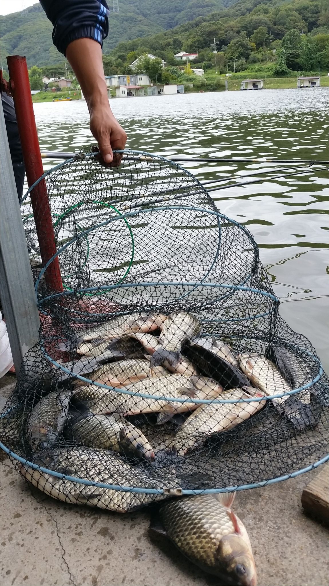 20150906_130734.jpg