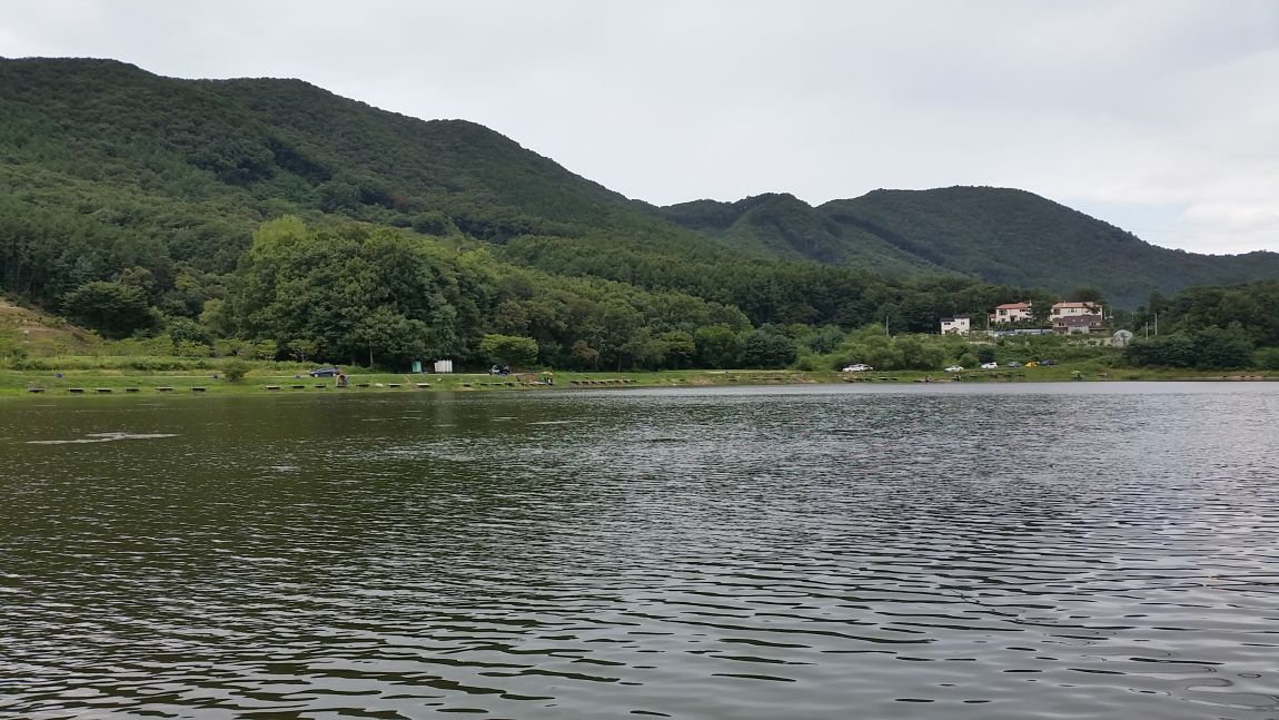 20150906_135123.jpg