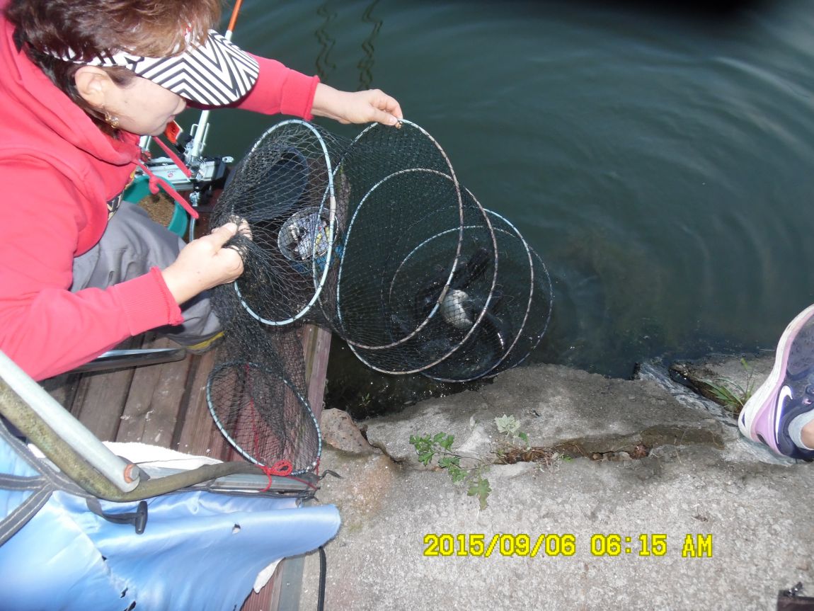 9��5��~7�� 002.JPG