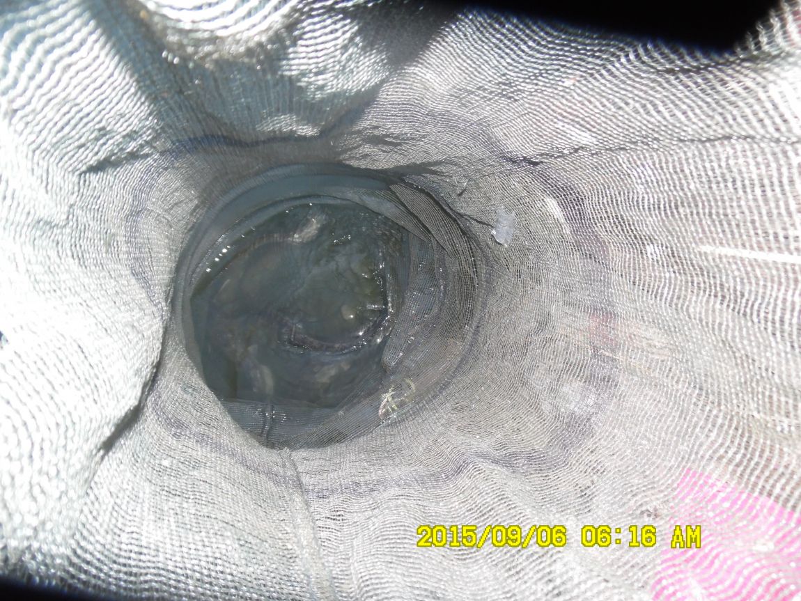 9��5��~7�� 003.JPG