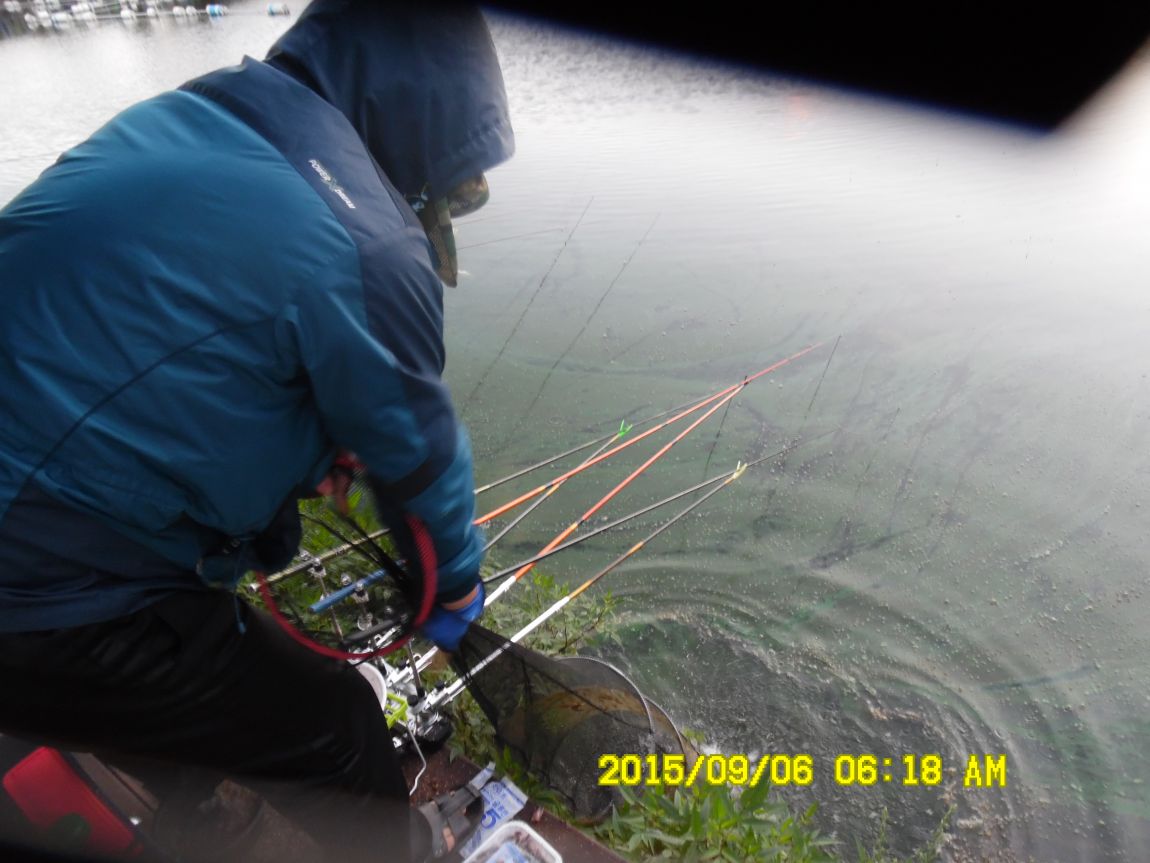 9��5��~7�� 004.JPG