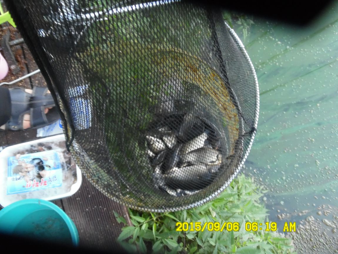 9��5��~7�� 006.JPG