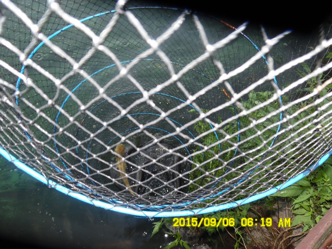 9��5��~7�� 007.JPG