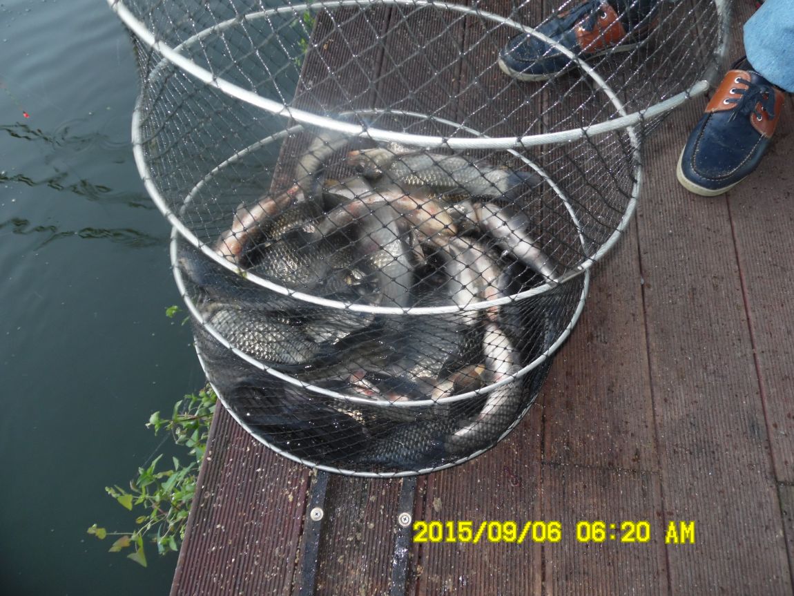 9��5��~7�� 009.JPG