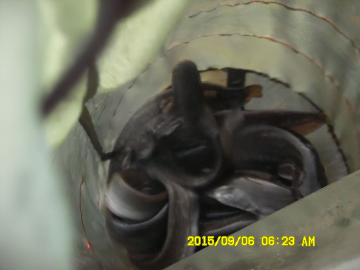 9��5��~7�� 010.JPG