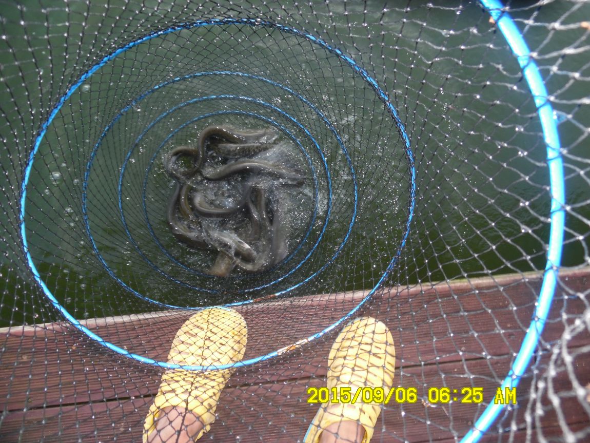 9��5��~7�� 011.JPG