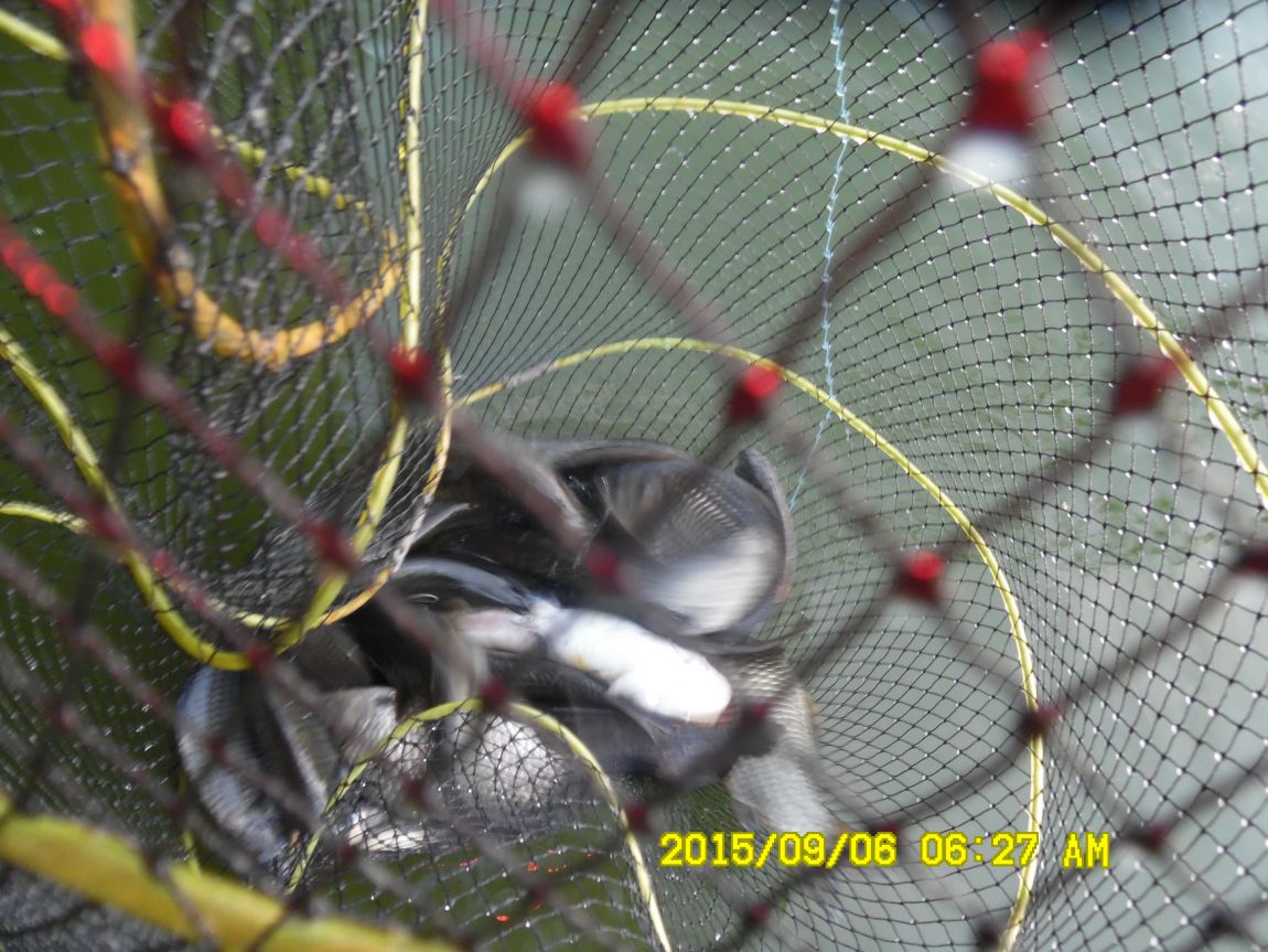 9��5��~7�� 013.JPG