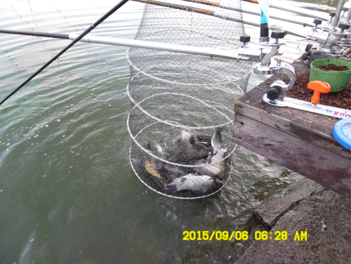 9��5��~7�� 015.JPG