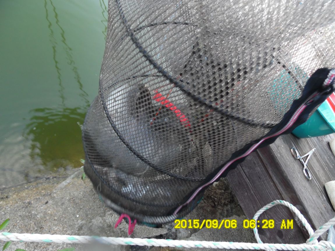 9��5��~7�� 016.JPG