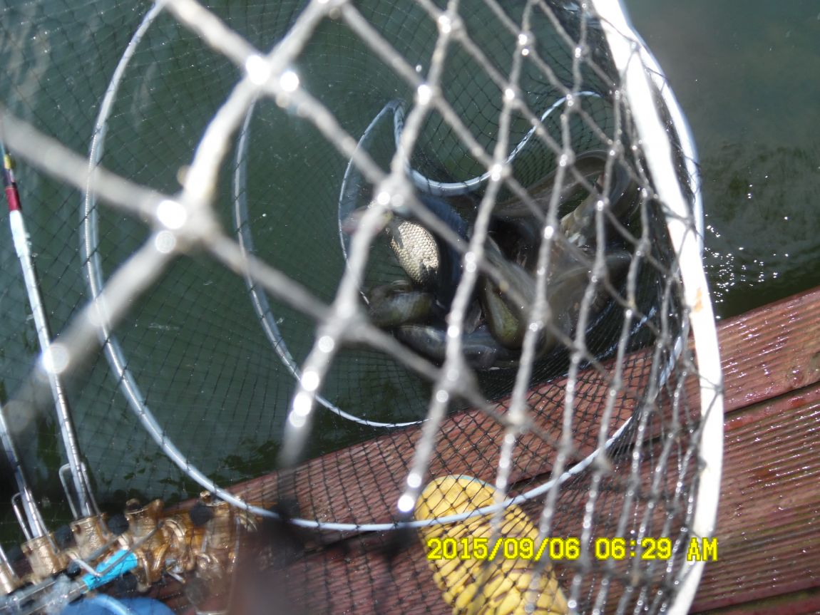 9��5��~7�� 017.JPG