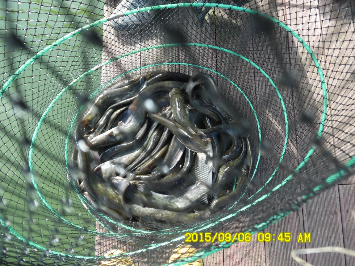 9��5��~7�� 022.JPG