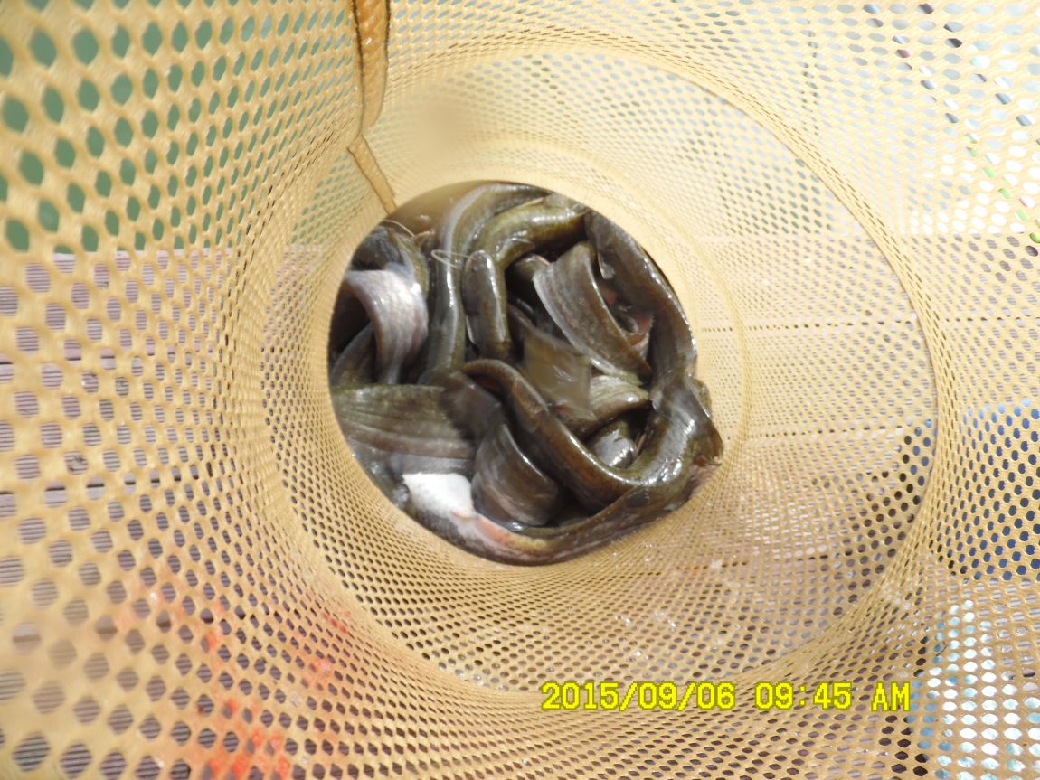 9��5��~7�� 023.JPG