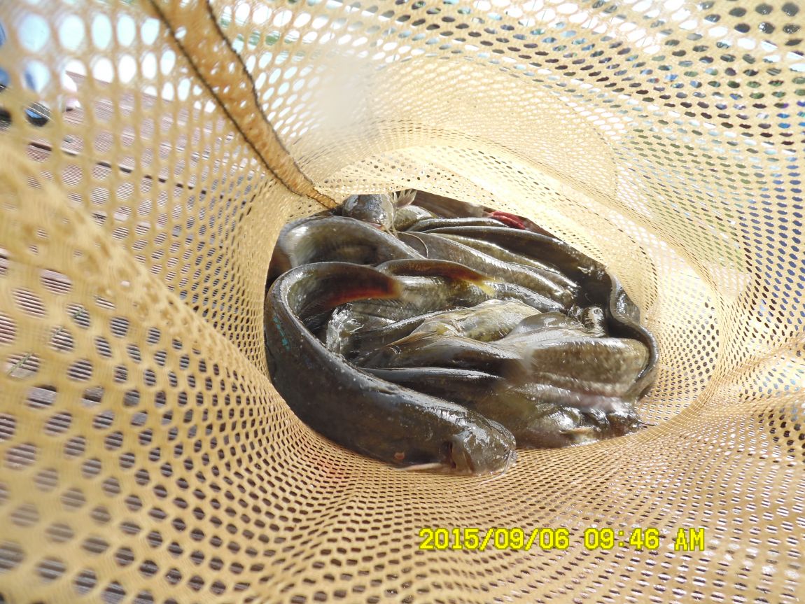 9��5��~7�� 025.JPG