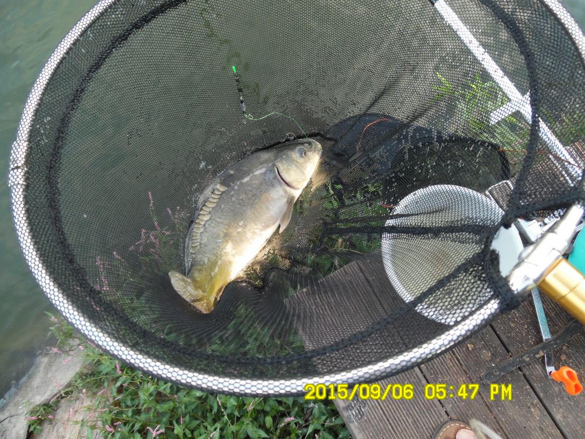 9��5��~7�� 028.JPG