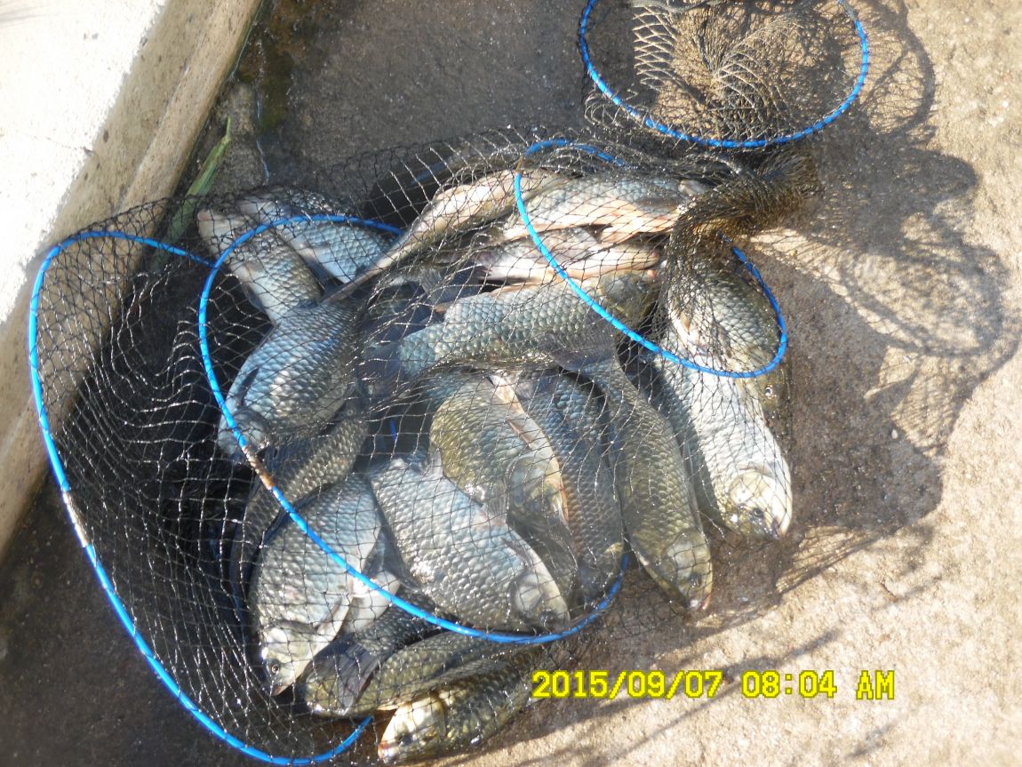 9��5��~7�� 034.JPG