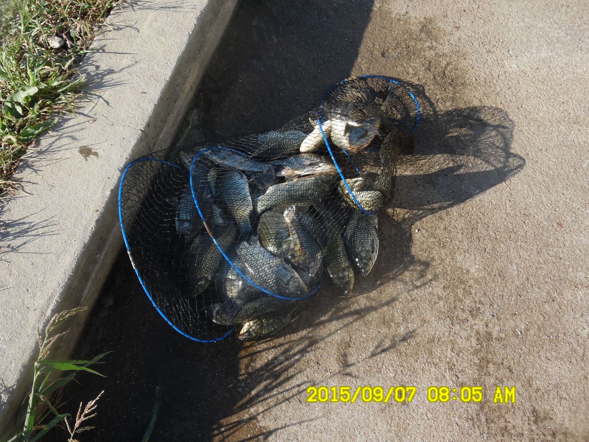 9��5��~7�� 035.JPG