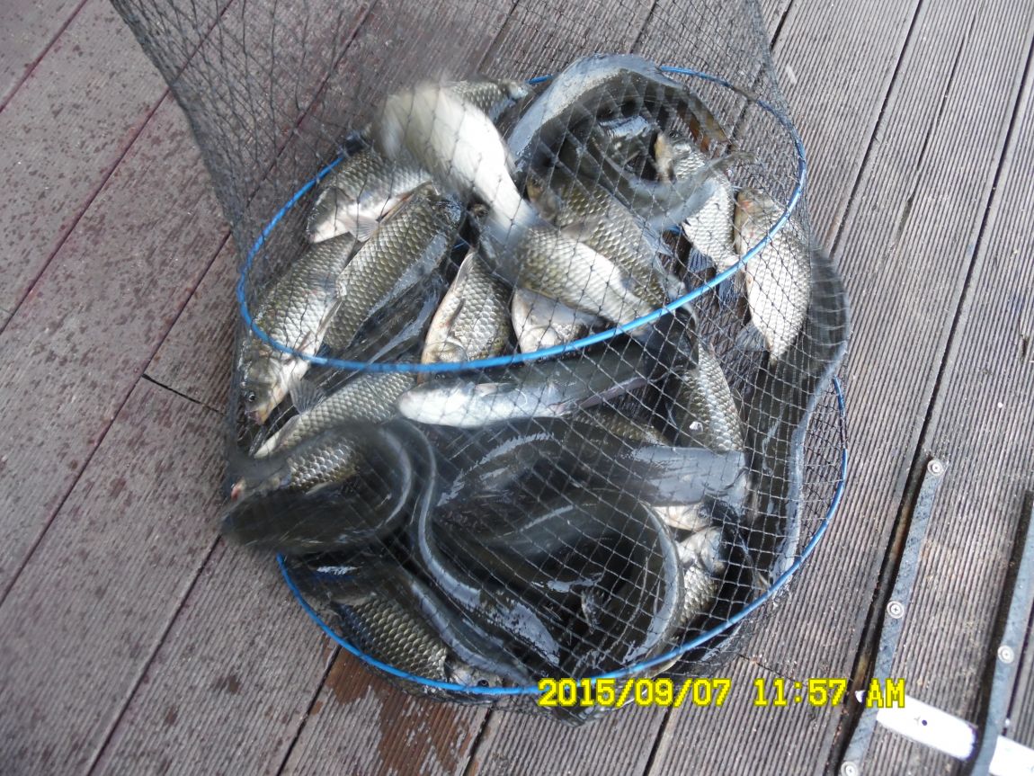 9��5��~7�� 037.JPG