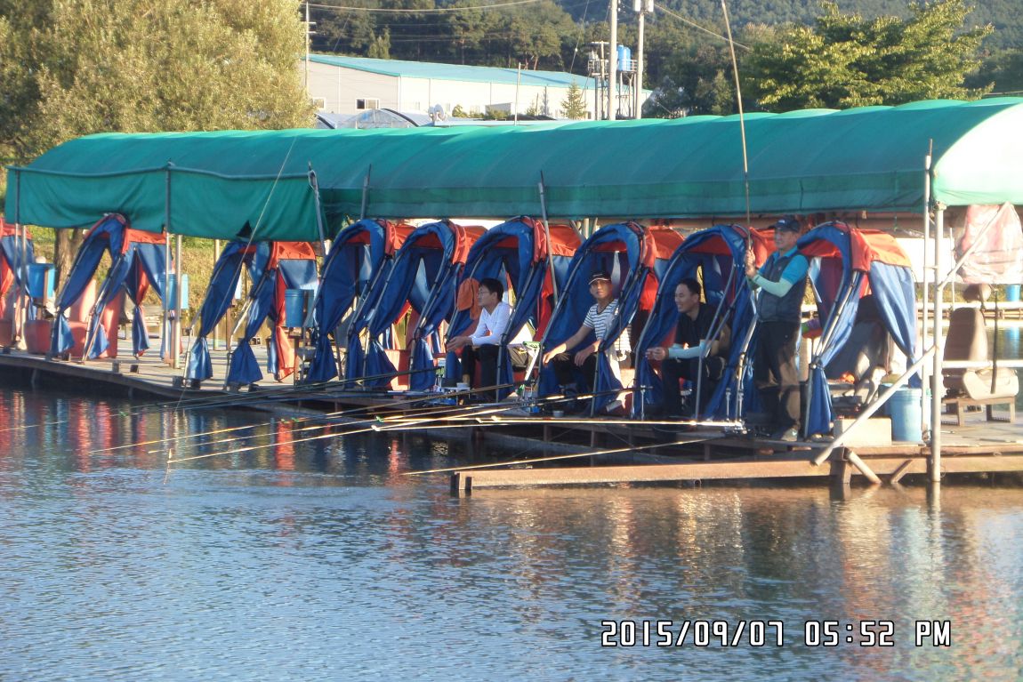 SAM_0557.JPG