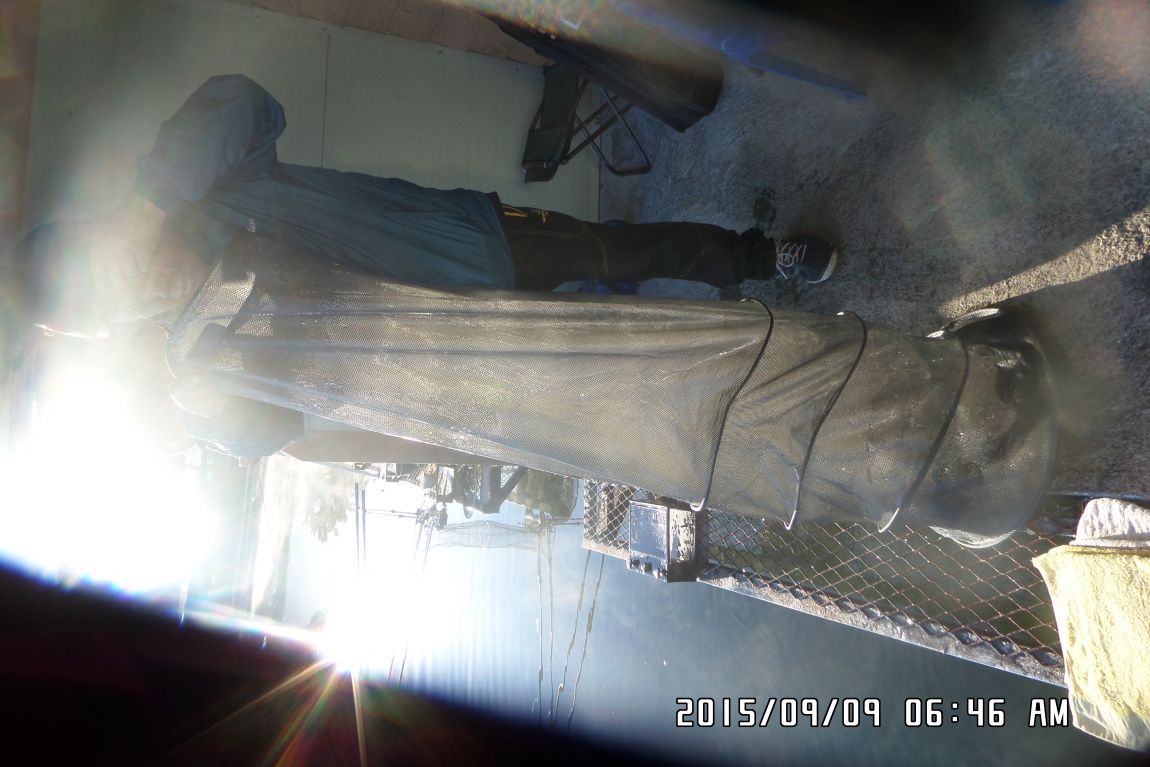 SAM_0580.JPG