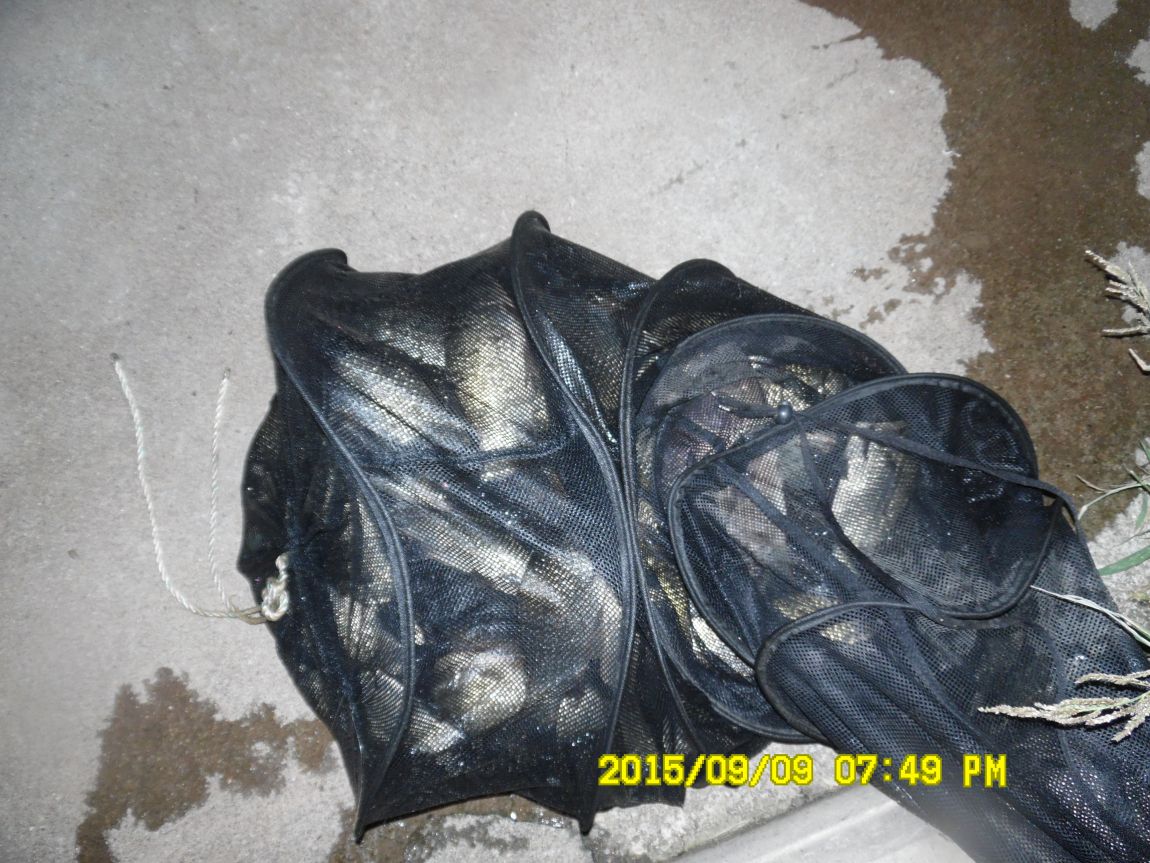 9��9��~10�� 001.JPG