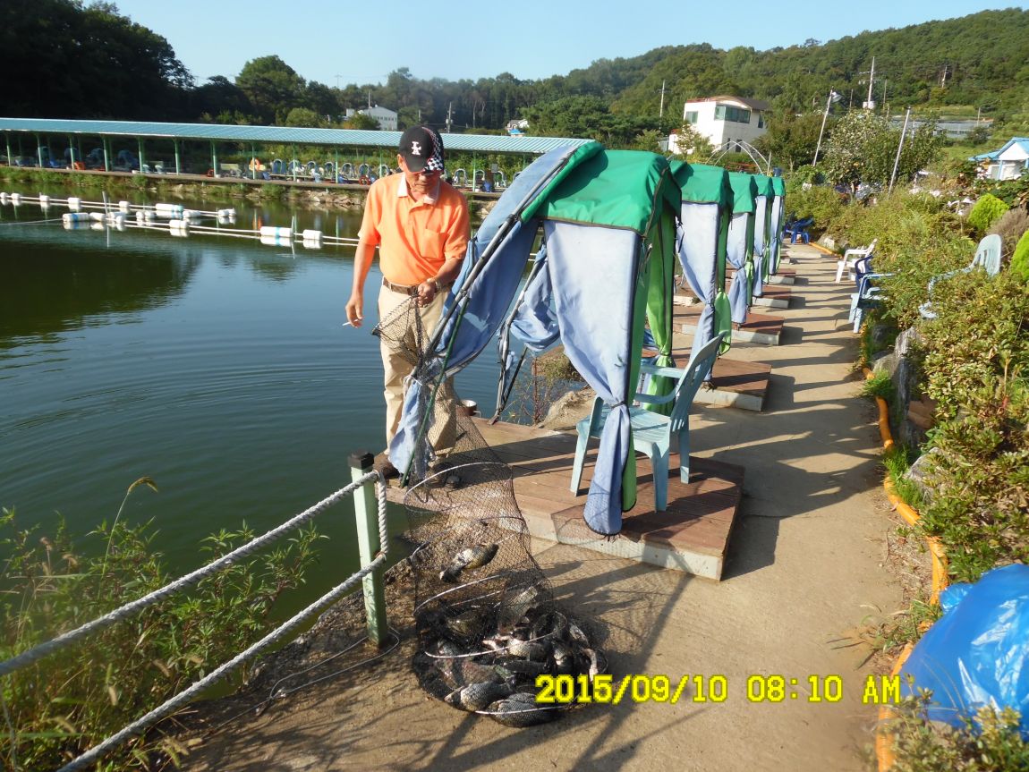 9��9��~10�� 002.JPG