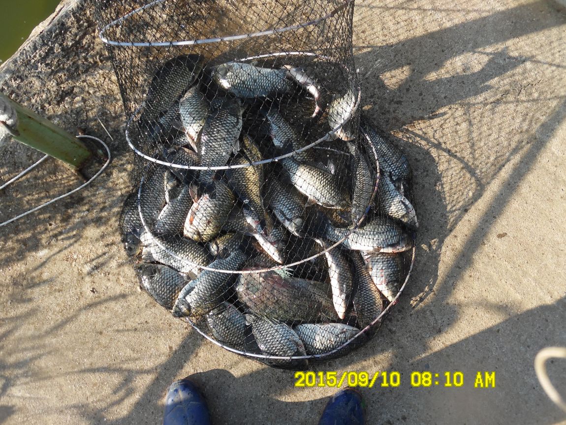 9��9��~10�� 003.JPG