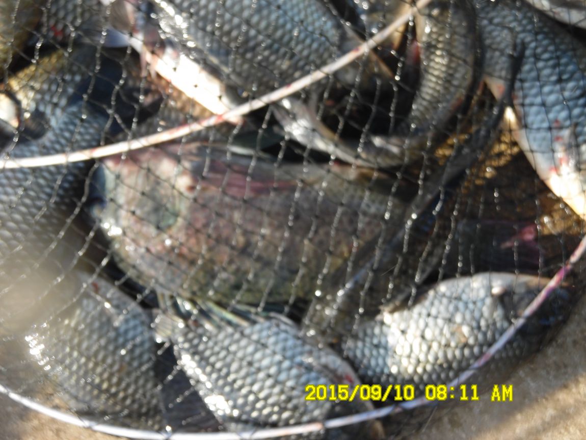 9��9��~10�� 004.JPG