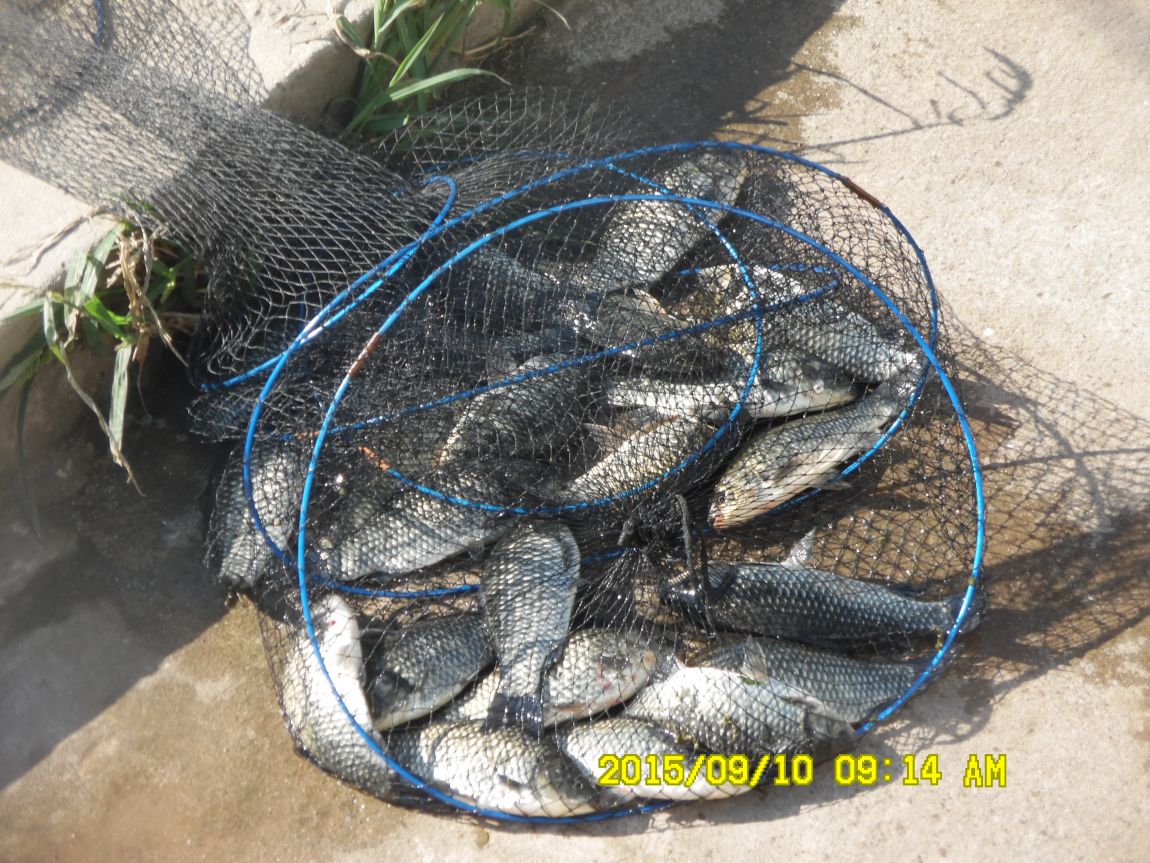 9��9��~10�� 005.JPG