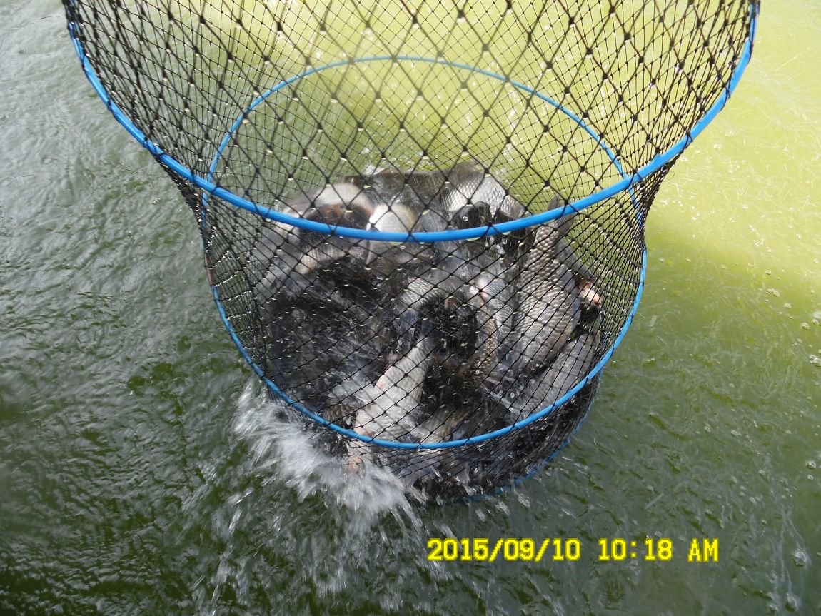 9��9��~10�� 008.JPG