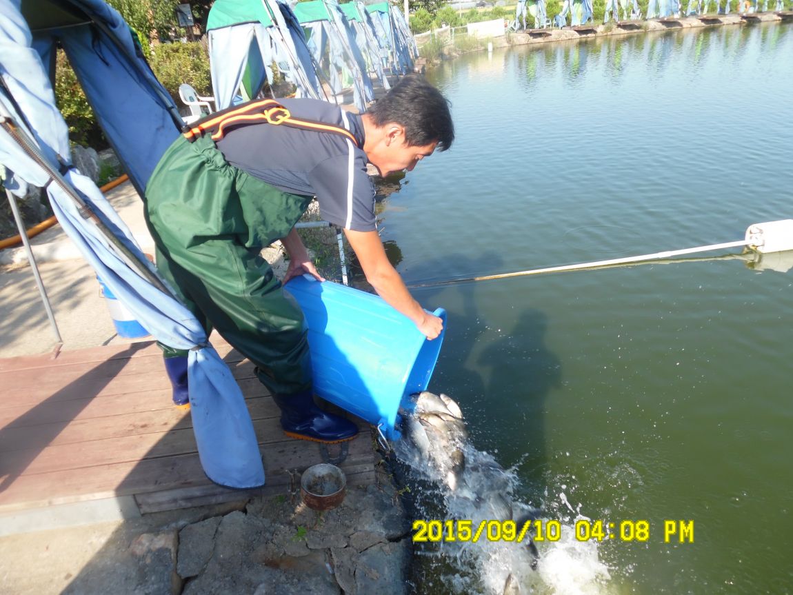 9��9��~10�� 014.JPG