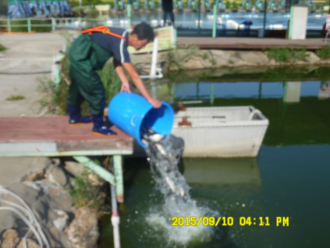 9��9��~10�� 015.JPG