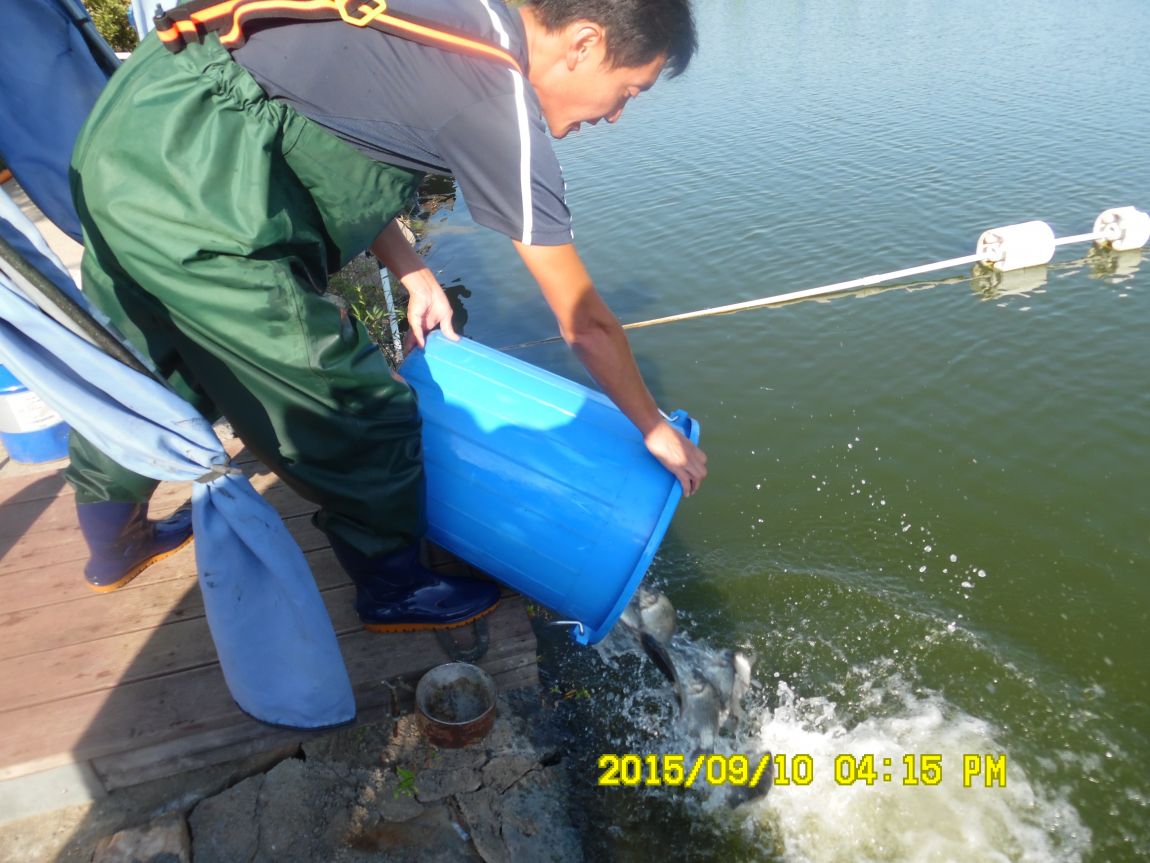 9��9��~10�� 016.JPG