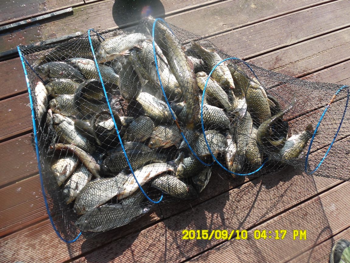 9��9��~10�� 018.JPG