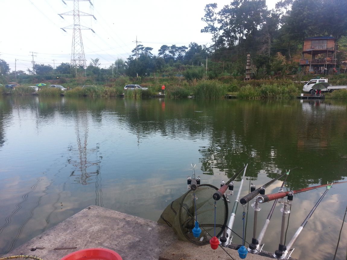 20150906_065238.jpg