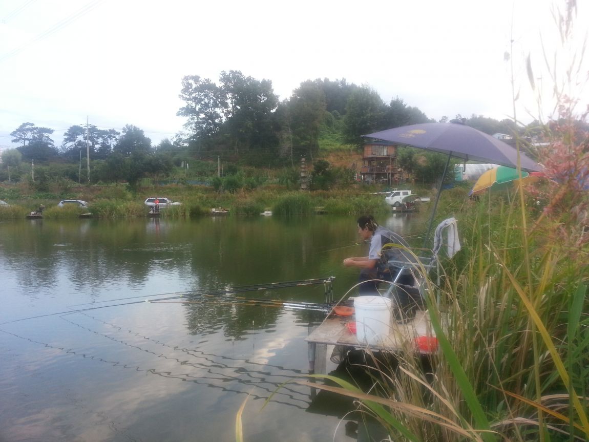 20150906_065946.jpg