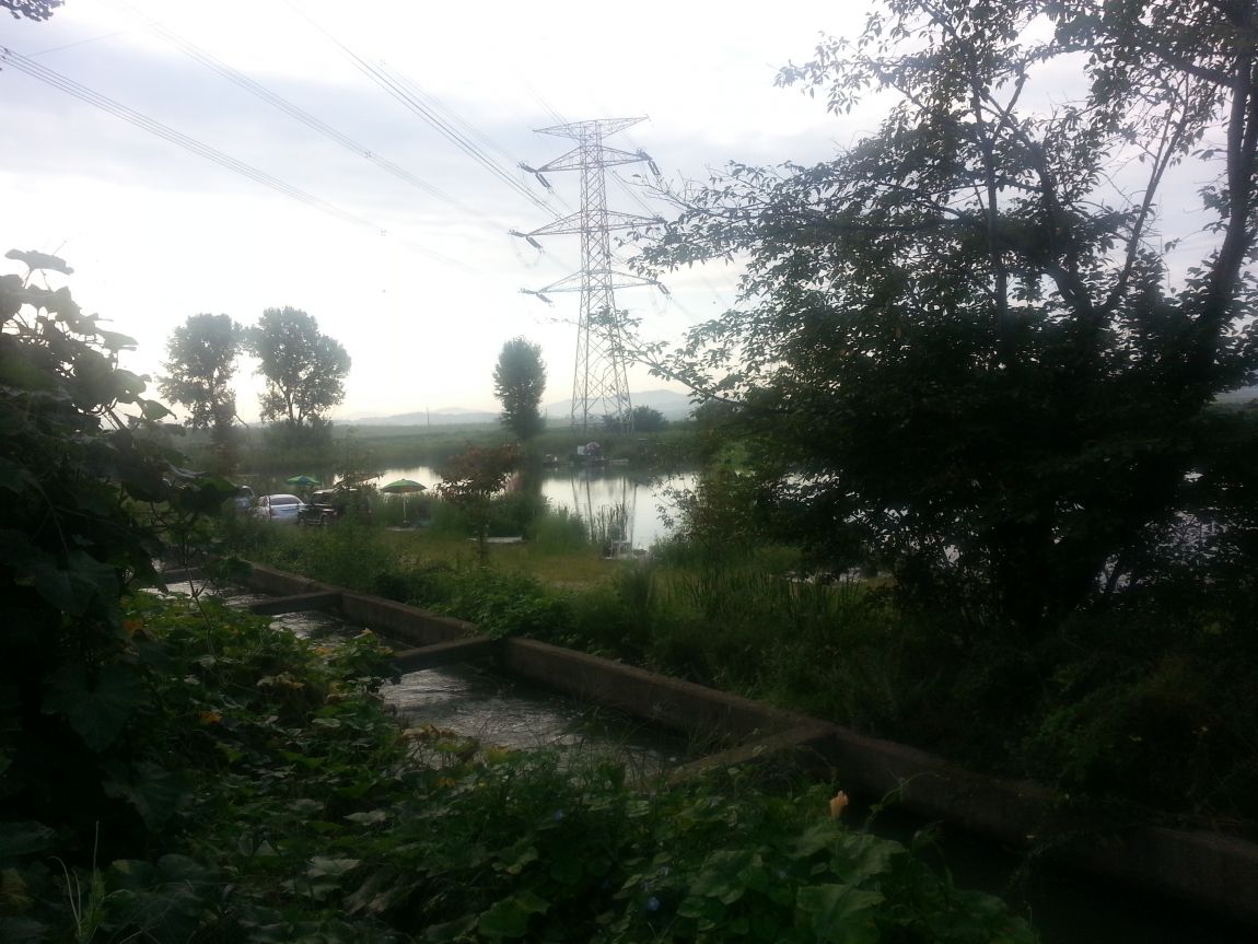20150906_073103.jpg