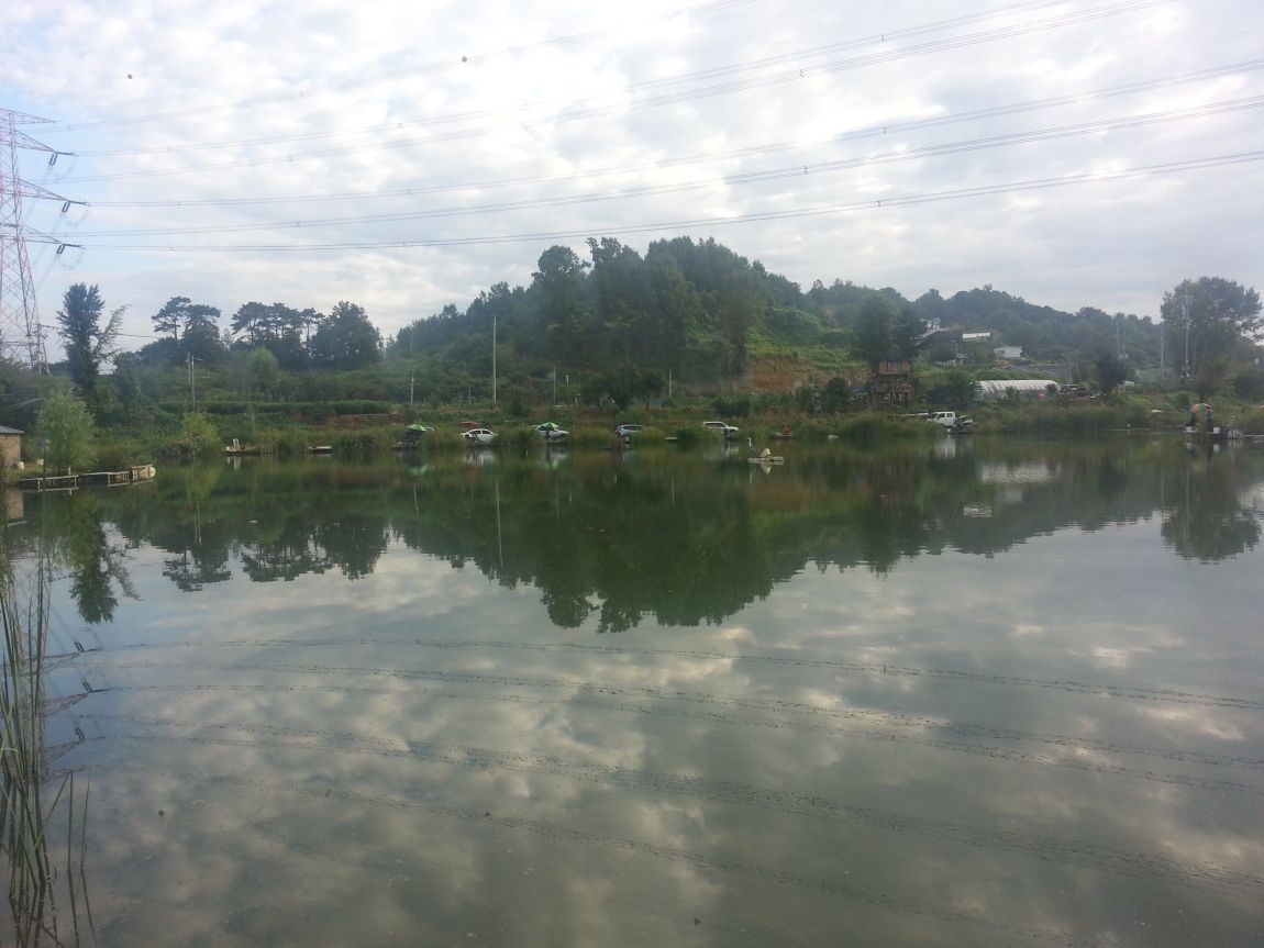 20150906_074024.jpg