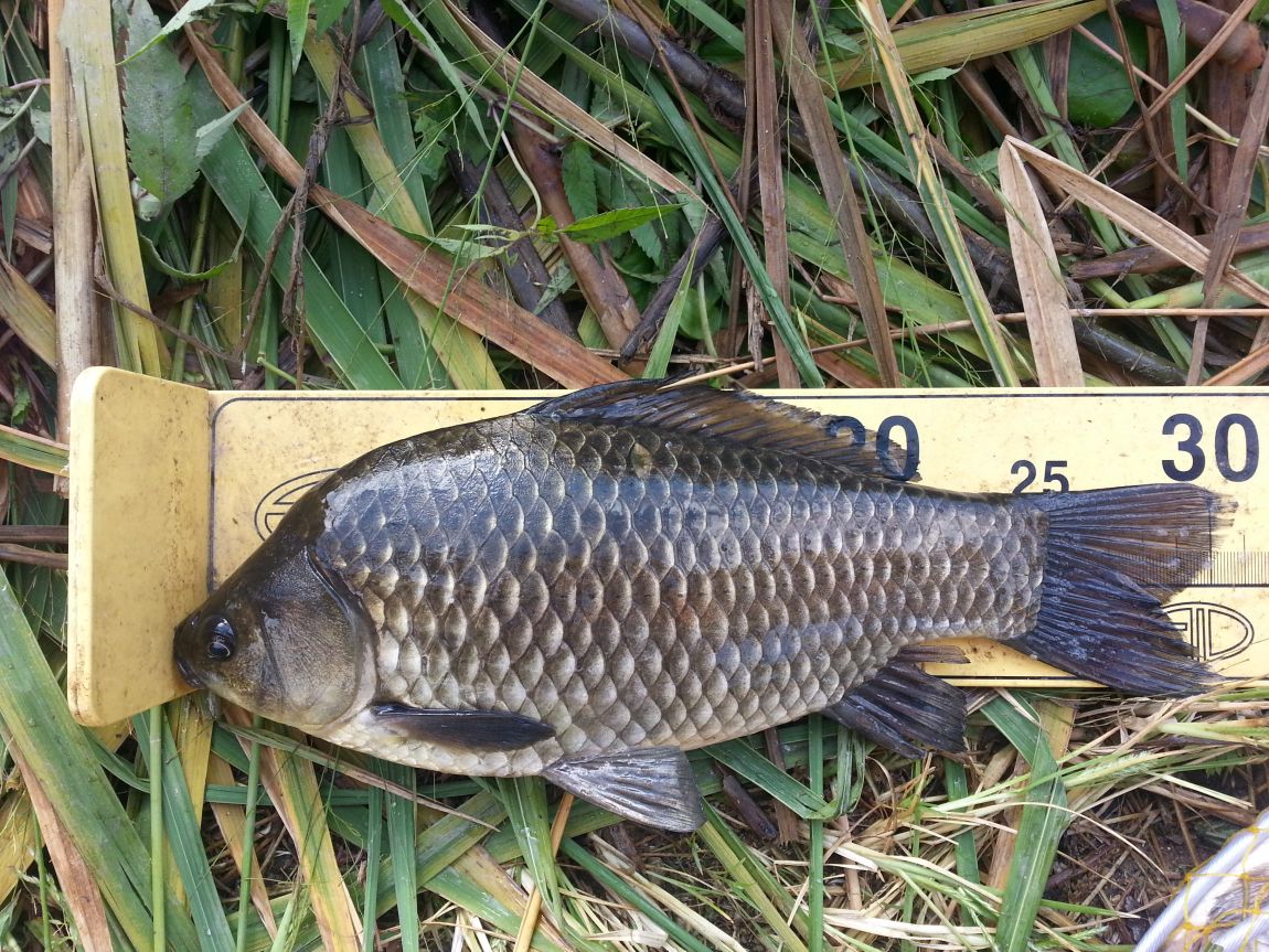 20150906_091436.jpg