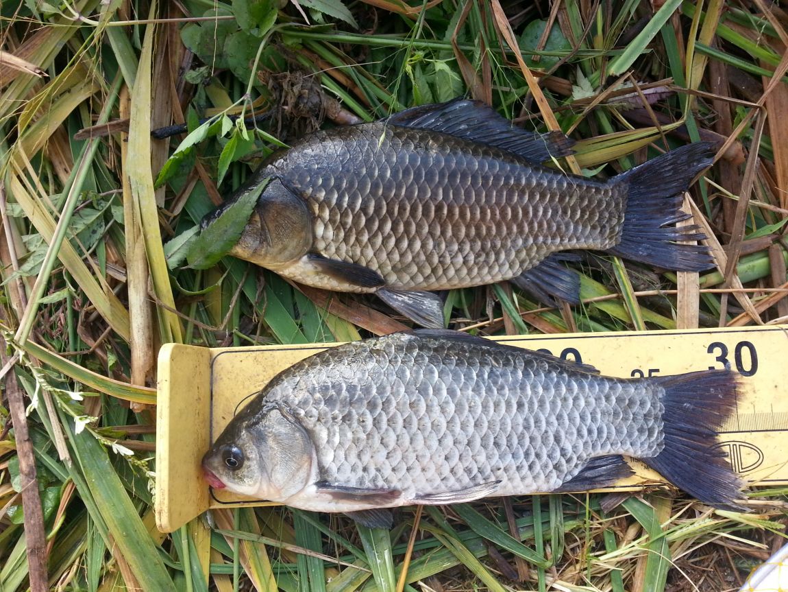 20150906_091549.jpg