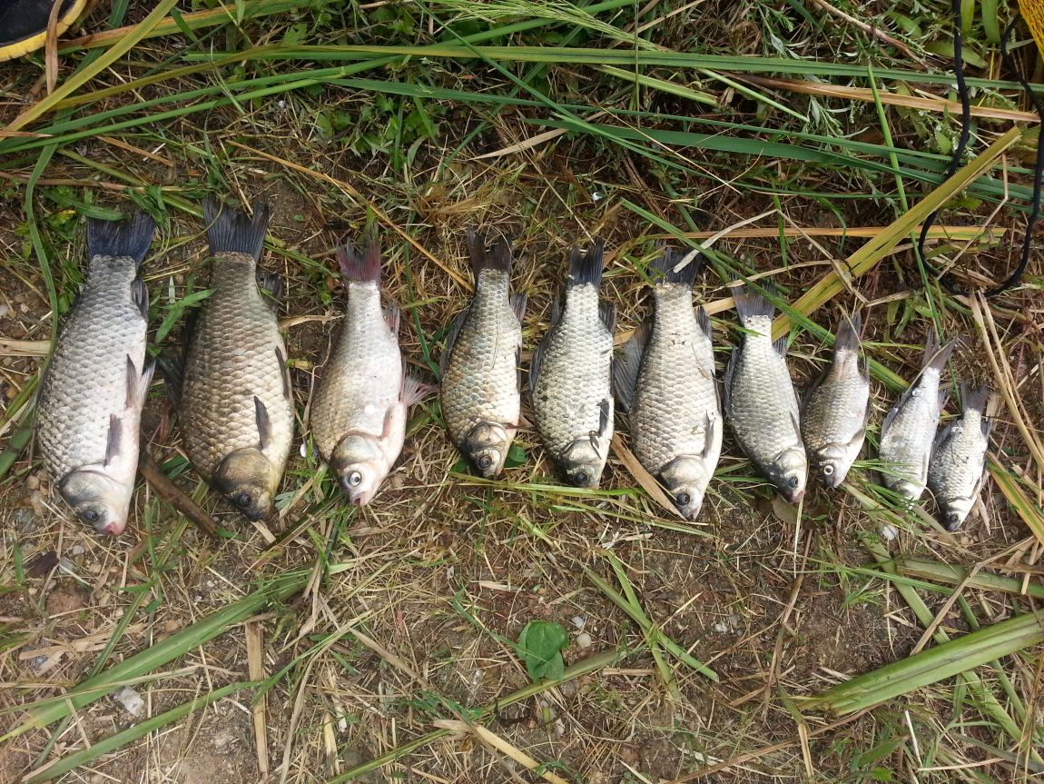 20150906_112826.jpg