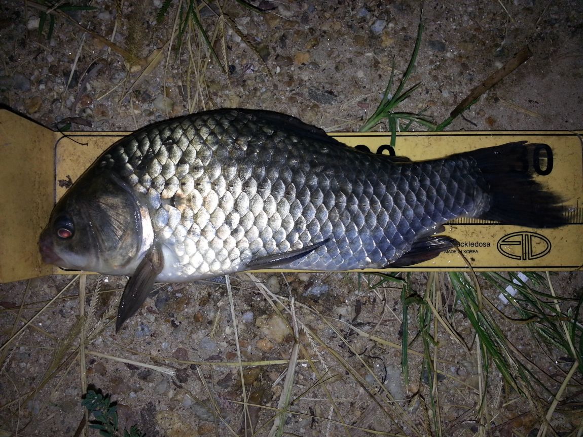 20150907_203953.jpg
