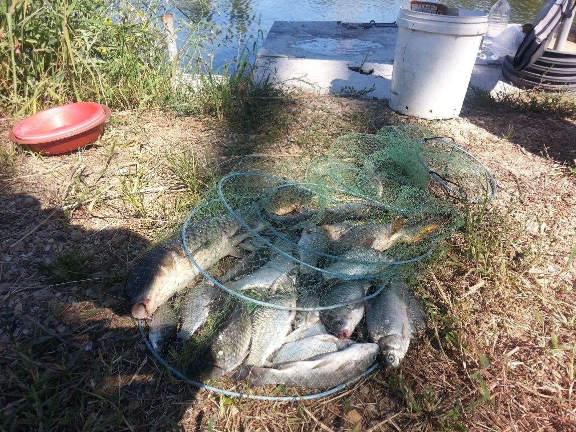 20150908_095843.jpg