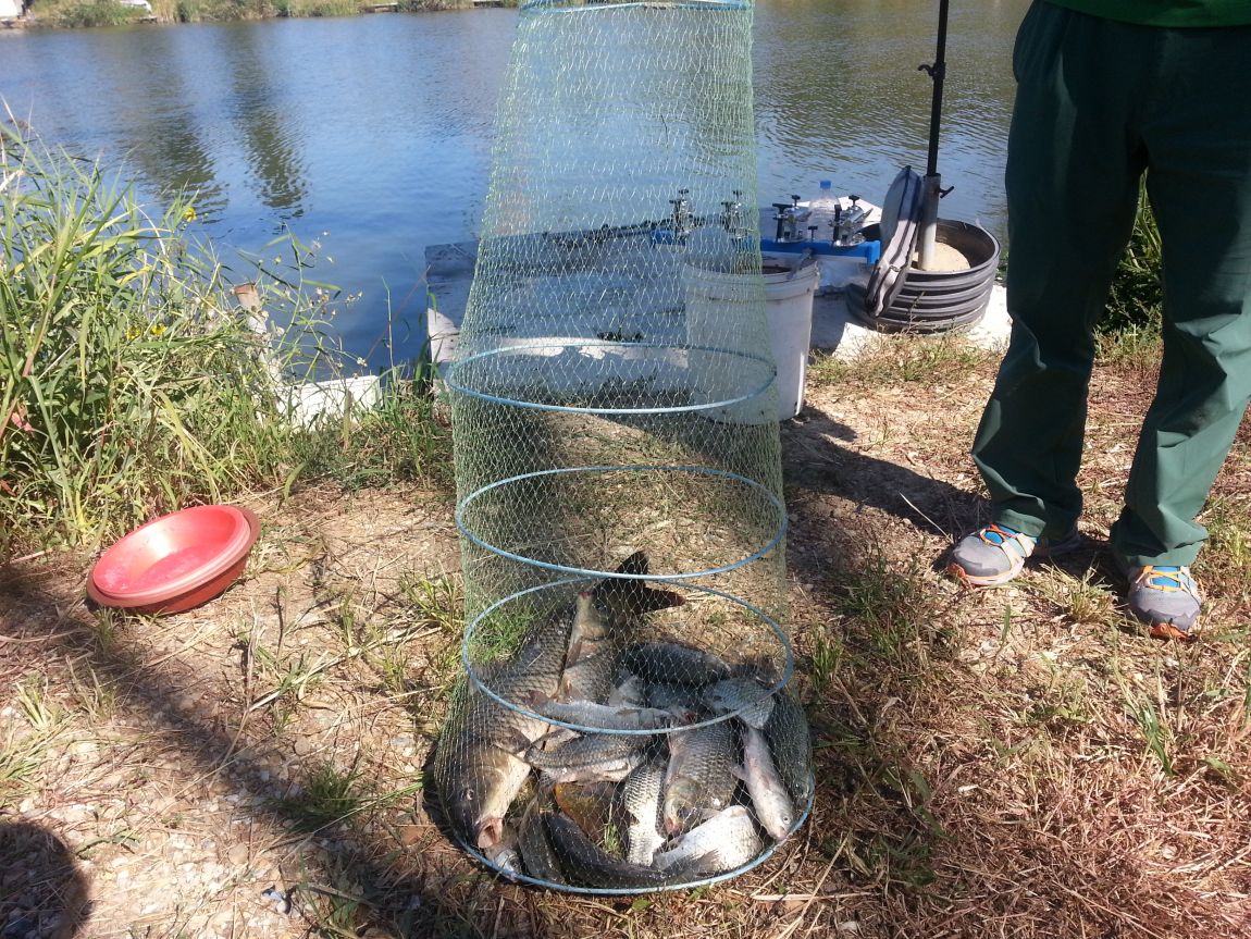 20150908_095925.jpg