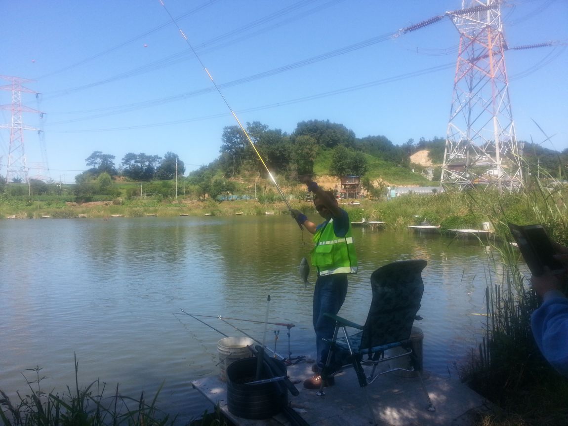 20150908_131111.jpg