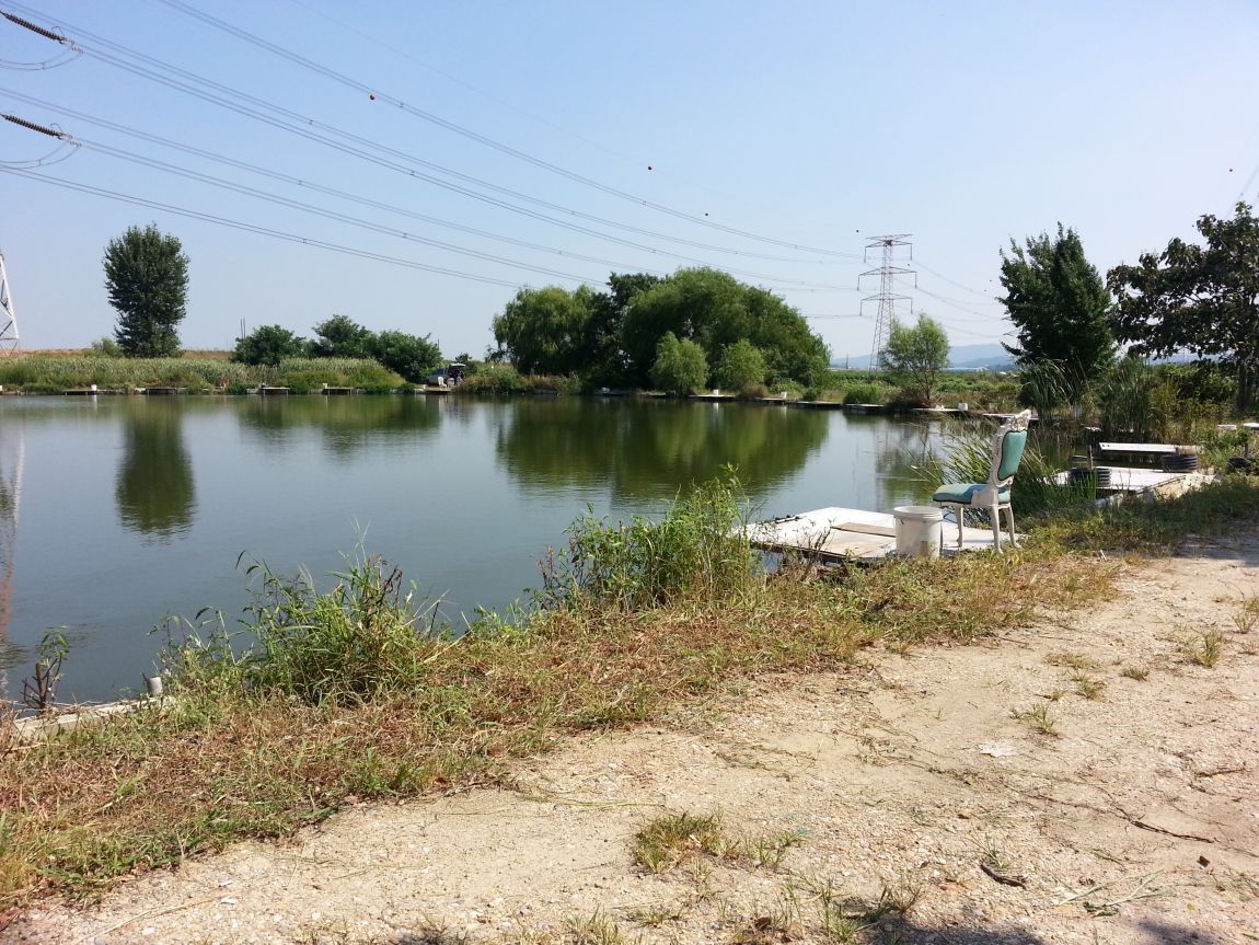 20150910_134449.jpg