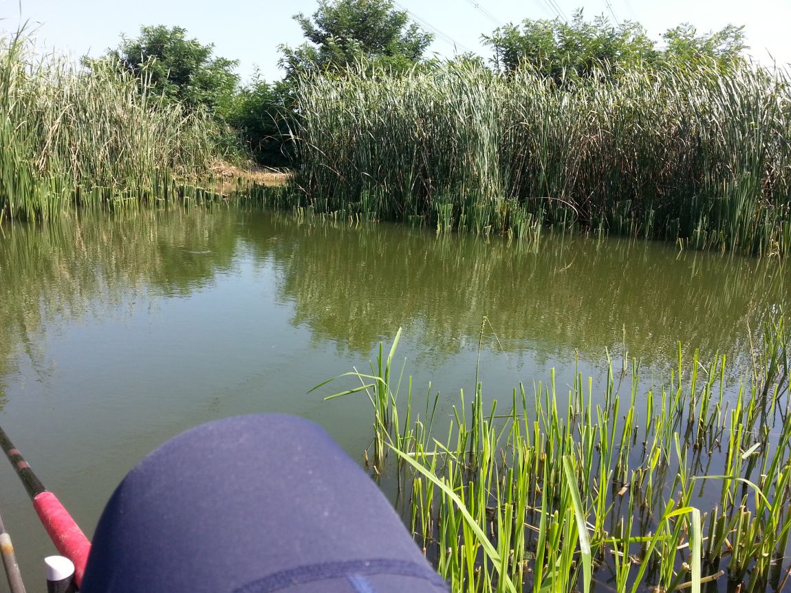 20150910_142442.jpg